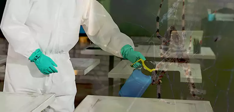 Why Buyers Still Want Homes With Pest Infestations in Ilchester, MD?