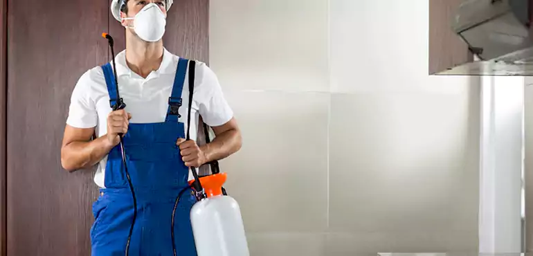 Why Ilchester Homeowners Choose Us When Pests Make Selling Difficult