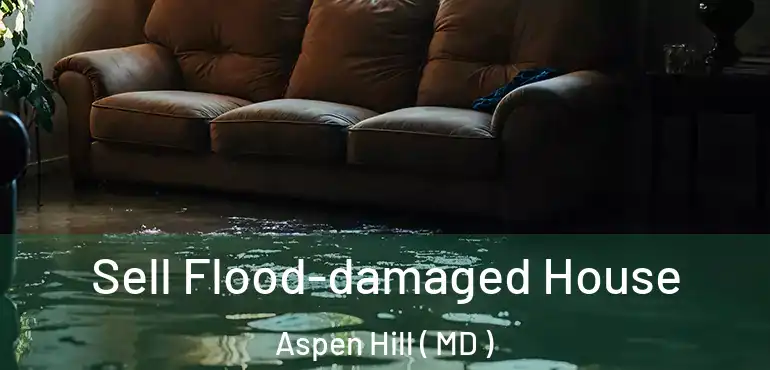  Sell Flood-damaged House Aspen Hill ( MD )