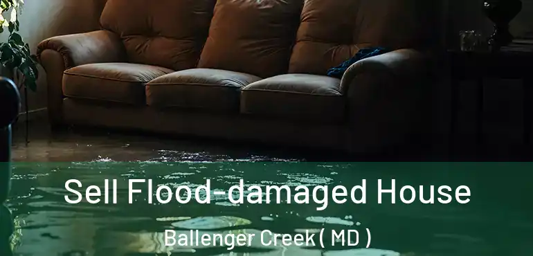  Sell Flood-damaged House Ballenger Creek ( MD )