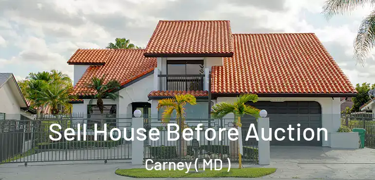  Sell House Before Auction Carney ( MD )