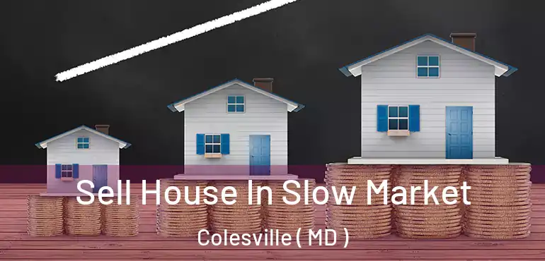 Sell House In Slow Market Colesville ( MD )