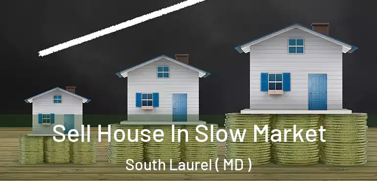  Sell House In Slow Market South Laurel ( MD )