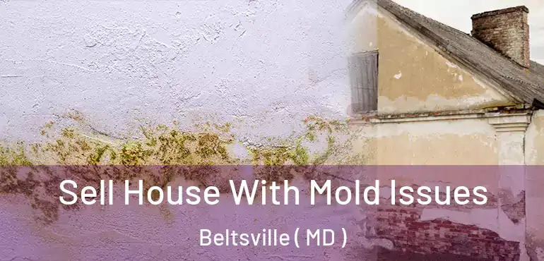  Sell House With Mold Issues Beltsville ( MD )