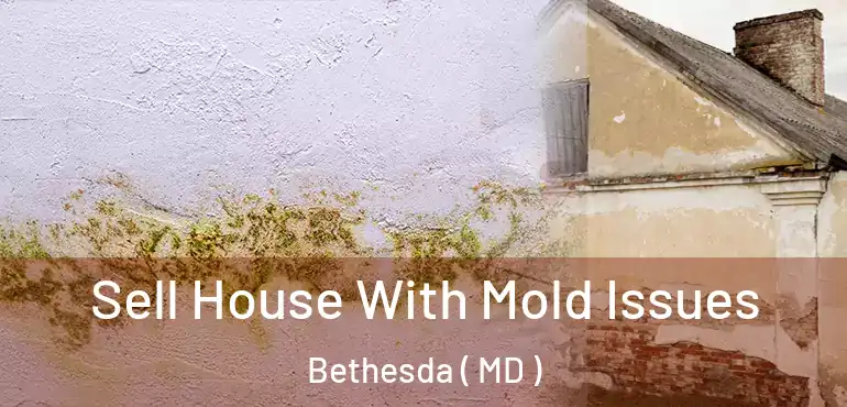  Sell House With Mold Issues Bethesda ( MD )