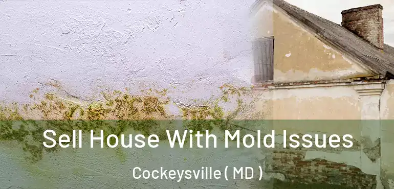  Sell House With Mold Issues Cockeysville ( MD )