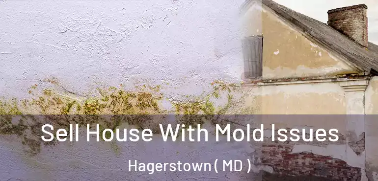  Sell House With Mold Issues Hagerstown ( MD )