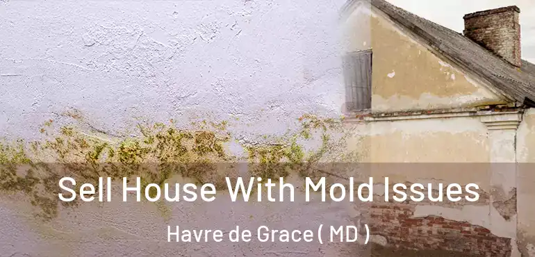 Sell House With Mold Issues Havre de Grace ( MD )
