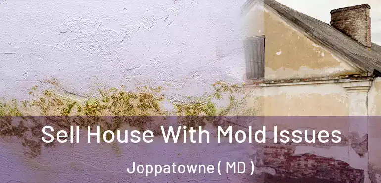 Sell House With Mold Issues Joppatowne ( MD )