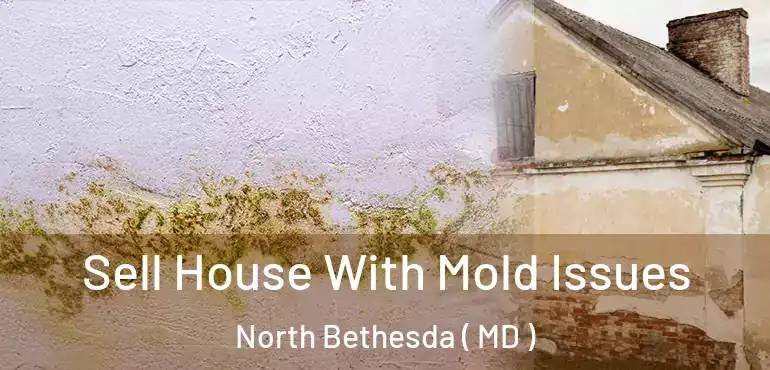  Sell House With Mold Issues North Bethesda ( MD )