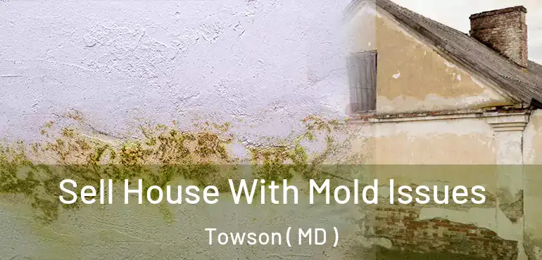  Sell House With Mold Issues Towson ( MD )
