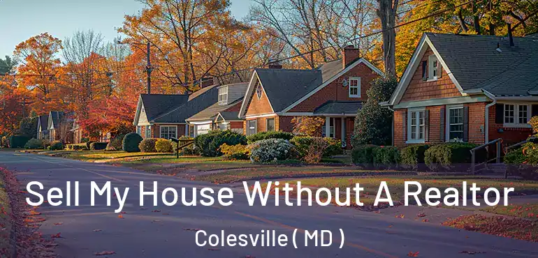  Sell My House Without A Realtor Colesville ( MD )