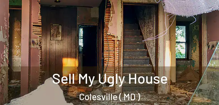  Sell My Ugly House Colesville ( MD )